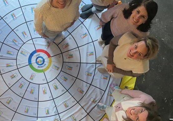 Natuurlijk hebben wij ook de DISC-profielen van Team ROMYN opgesteld.